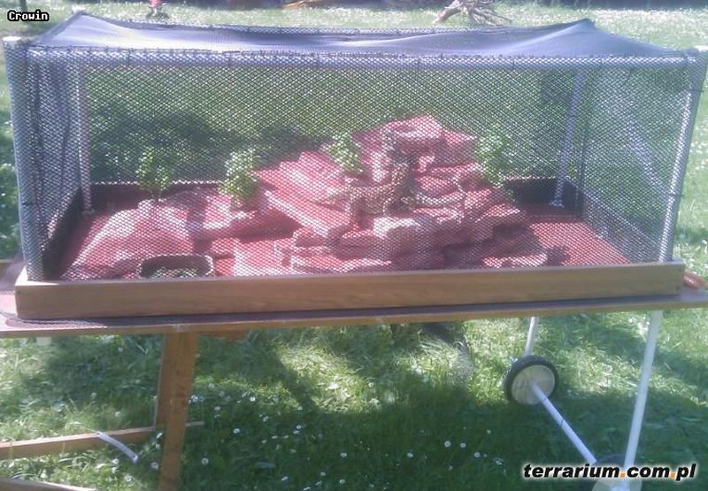 Flexarium.jpg