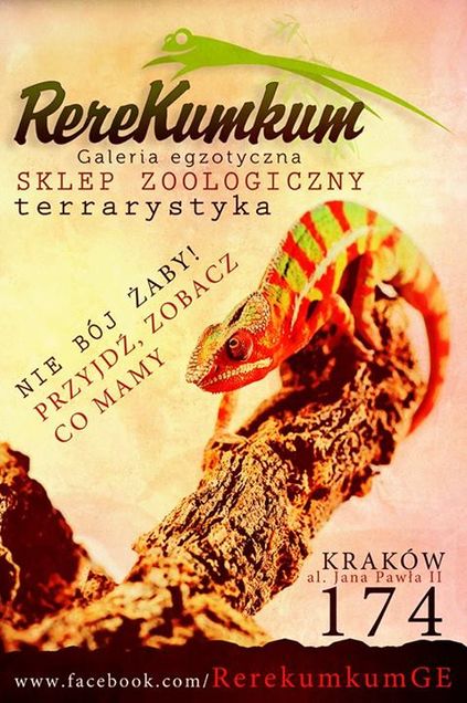 Rerekumkum Galeria Egzotyczna.