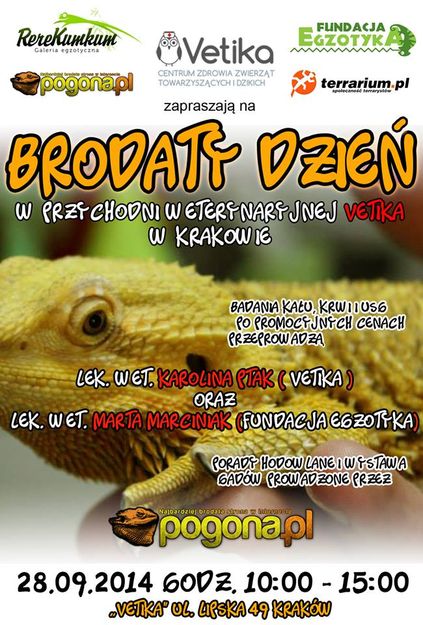 Brodaty Dzień w przychodni weterynaryjnej Vetika - Kraków ul. Lipska 49